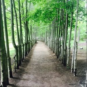 Meet your Posher, Andrew